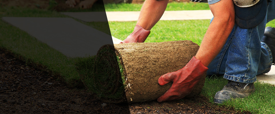 Westwood Landscapers